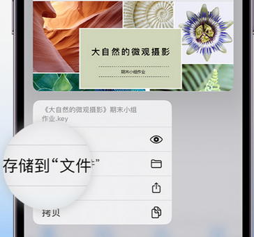 兴宁apple维修中心分享iPhone文件应用中存储和找到下载文件