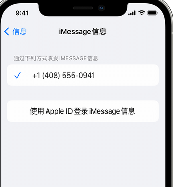 兴宁apple维修iPhone上无法正常发送iMessage信息 