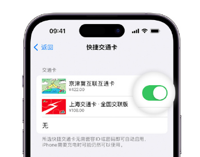 兴宁apple维修点分享iPhone上更换Apple Pay快捷交通卡手绘卡面 