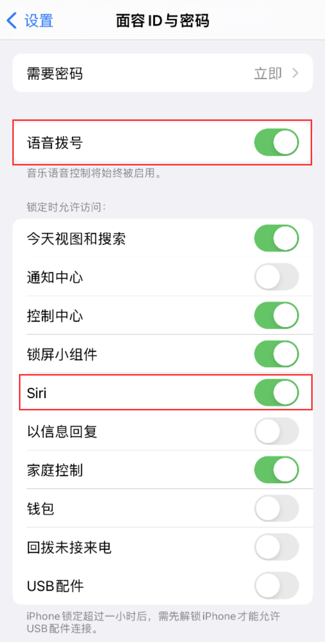 兴宁苹果维修网点分享不解锁 iPhone 的情况下通过 Siri 拨打电话的方法 