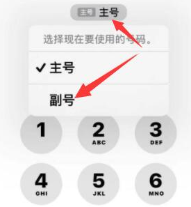 兴宁苹果14维修店分享iPhone 14 Pro Max使用副卡打电话的方法 