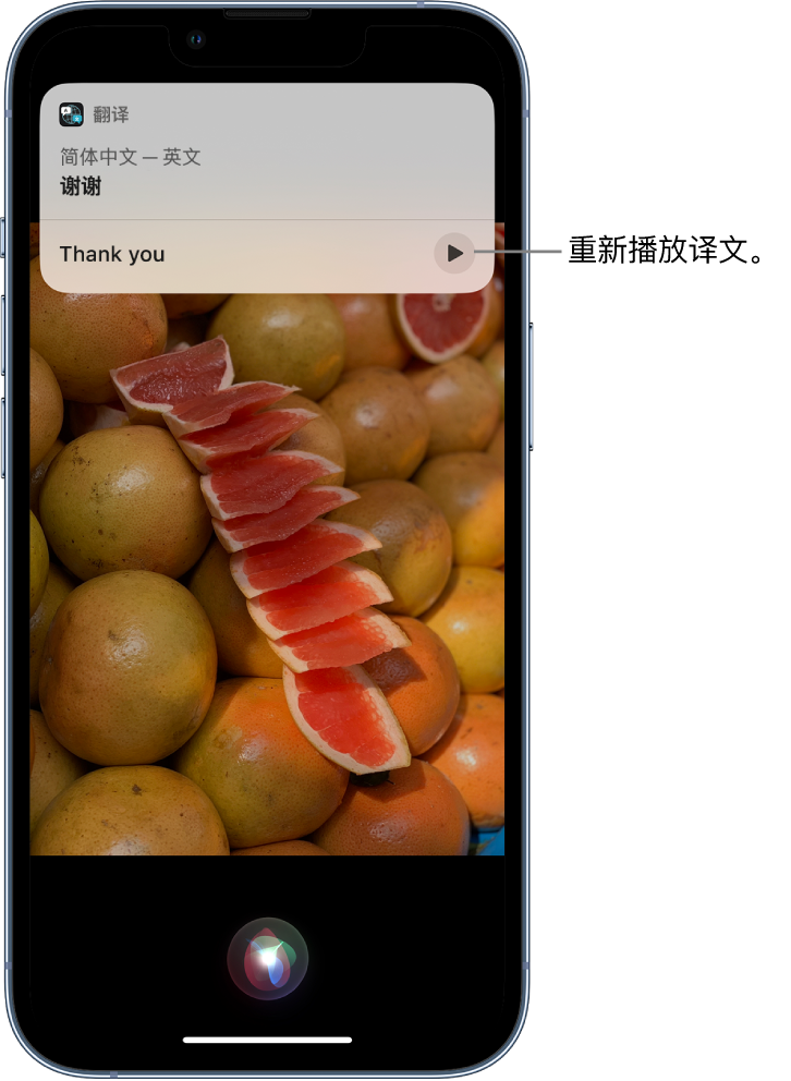 兴宁苹果14维修分享 iPhone 14 机型中使用 Siri：了解 Siri 能帮你做什么 