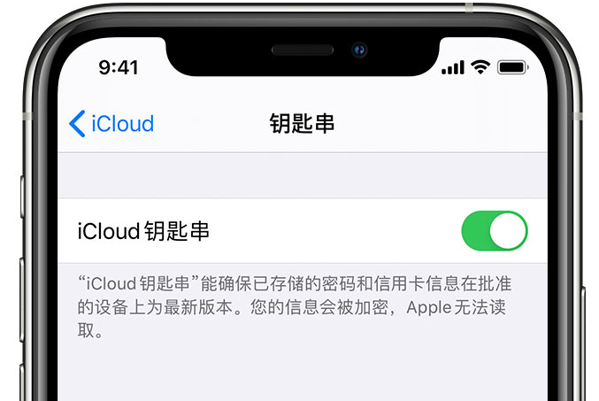 兴宁苹果手机维修分享在 iPhone 上开启 iCloud 钥匙串之后会储存哪些信息 