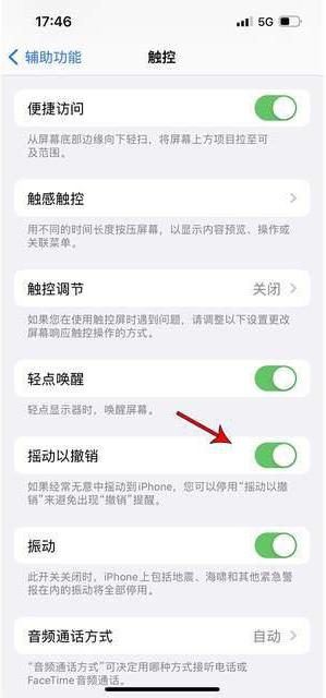 兴宁苹果手机维修分享iPhone手机如何设置摇一摇删除文字 